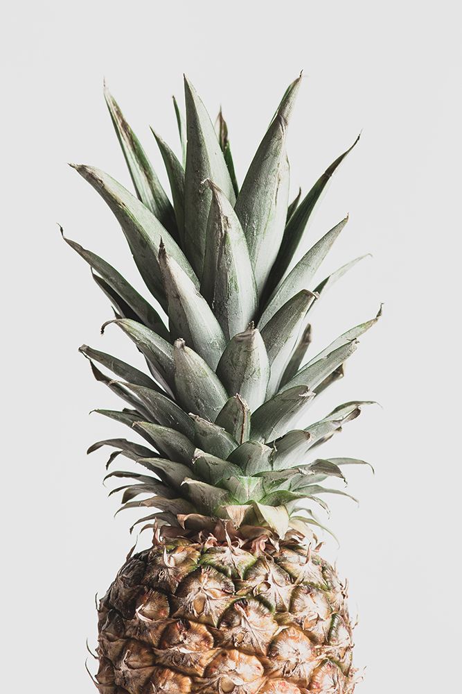 Pineapple Natural art print by 1x Studio III for $57.95 CAD