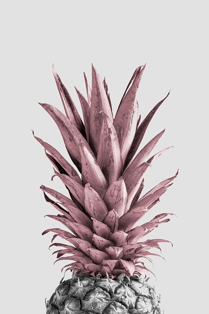 Pineapple Pink 04 art print by 1x Studio III for $57.95 CAD