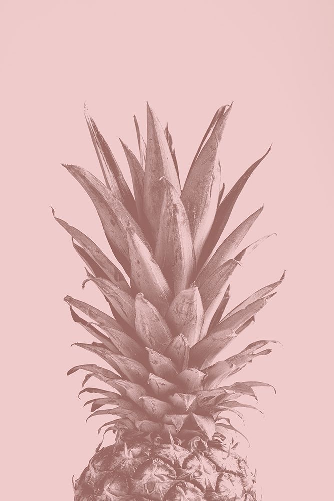 Pinapple Pink 05 art print by 1x Studio III for $57.95 CAD