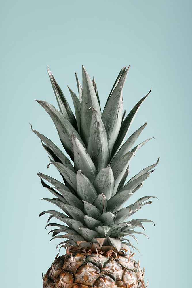 Pineapple Blue 03 art print by 1x Studio III for $57.95 CAD