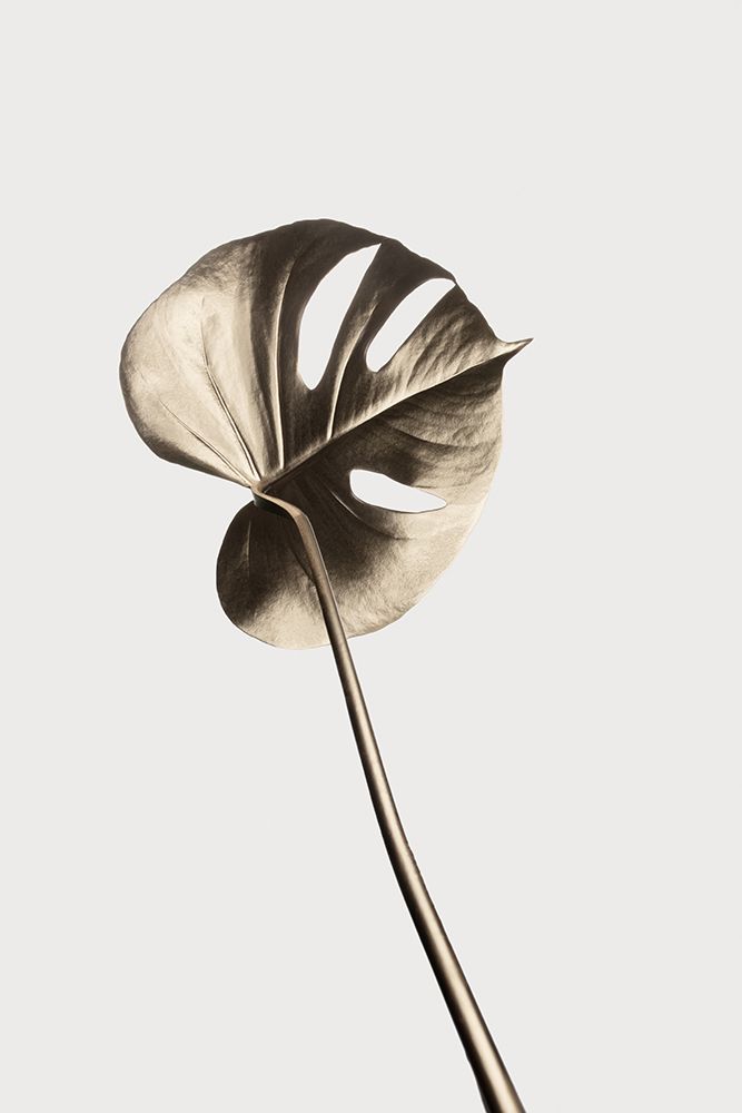 Monstera Gold 06 art print by 1x Studio III for $57.95 CAD