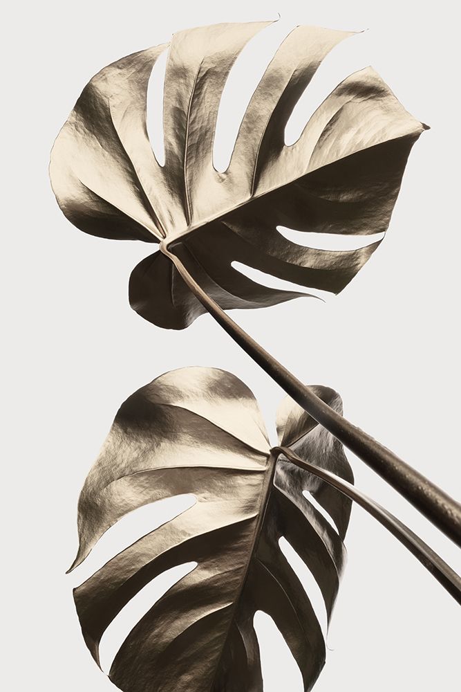 Monstera Gold 08 art print by 1x Studio III for $57.95 CAD