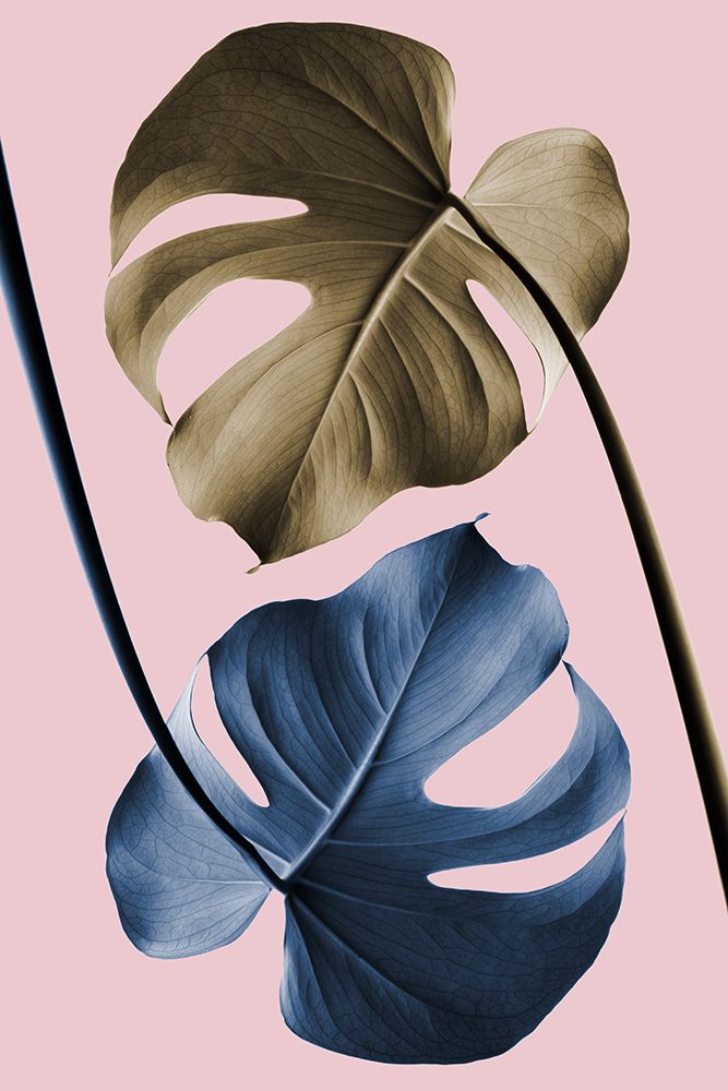 Monstera Pink 12 art print by 1x Studio III for $57.95 CAD