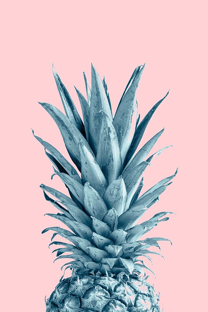 Pineapple Pink 06 art print by 1x Studio III for $57.95 CAD