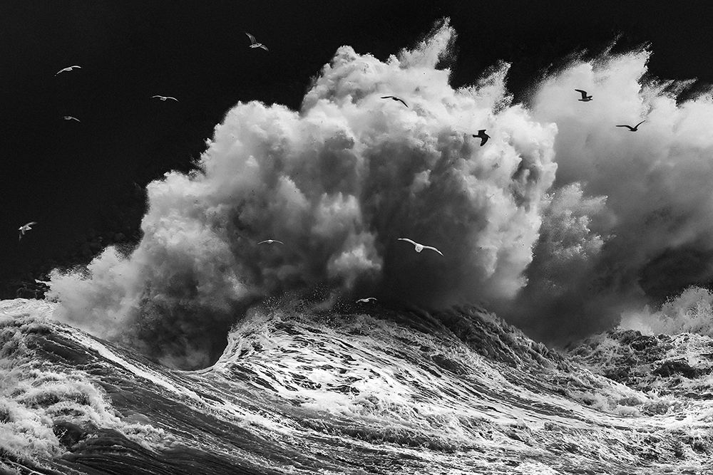 Birds In The Storm (Part 1) art print by Paolo Lazzarotti for $57.95 CAD