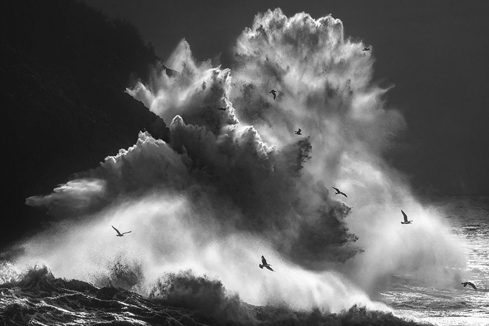 Birds In The Storm (Part 8) art print by Paolo Lazzarotti for $57.95 CAD