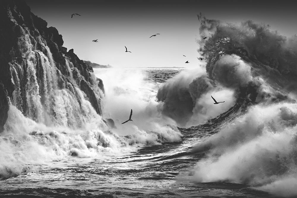 BIRDS IN THE STORM (Part 10) art print by Paolo Lazzarotti for $57.95 CAD