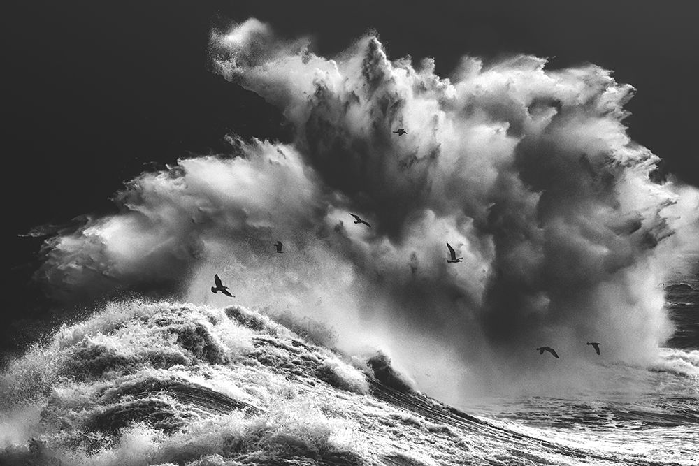 Birds In The Storm (Part 11) art print by Paolo Lazzarotti for $57.95 CAD