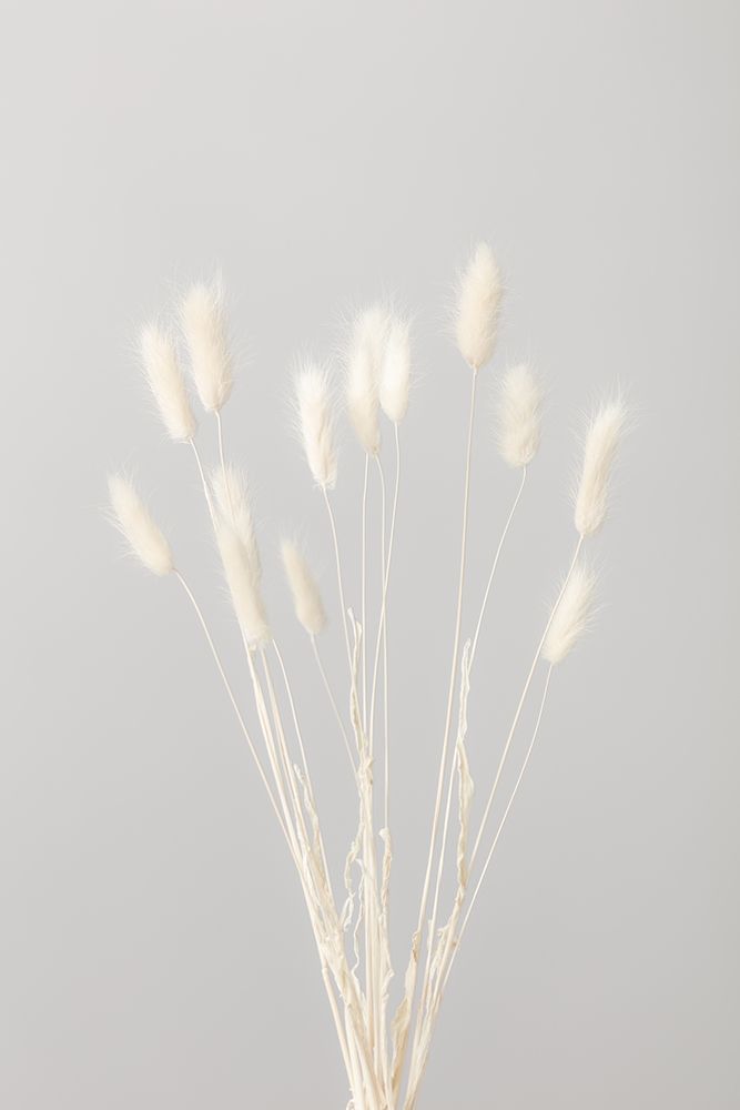 Bunny Grass No 1 art print by 1x Studio III for $57.95 CAD