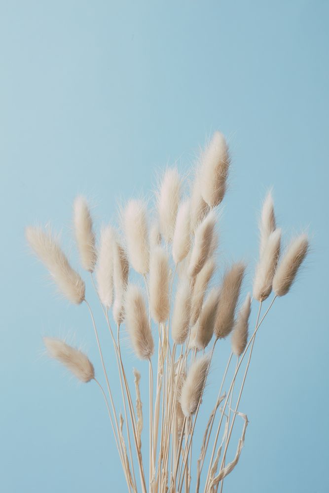 Bunny Grass No 3 art print by 1x Studio III for $57.95 CAD