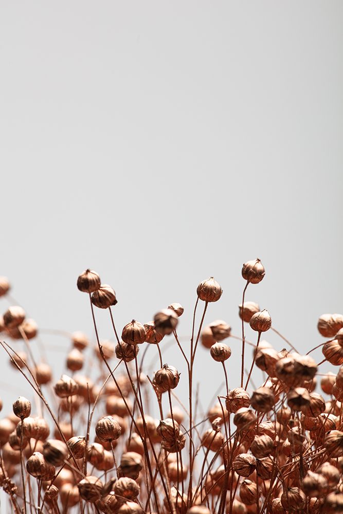 Dried Grass Copper 03 art print by 1x Studio III for $57.95 CAD