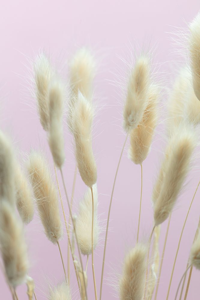 Bunny Grass Pink 01 art print by 1x Studio III for $57.95 CAD