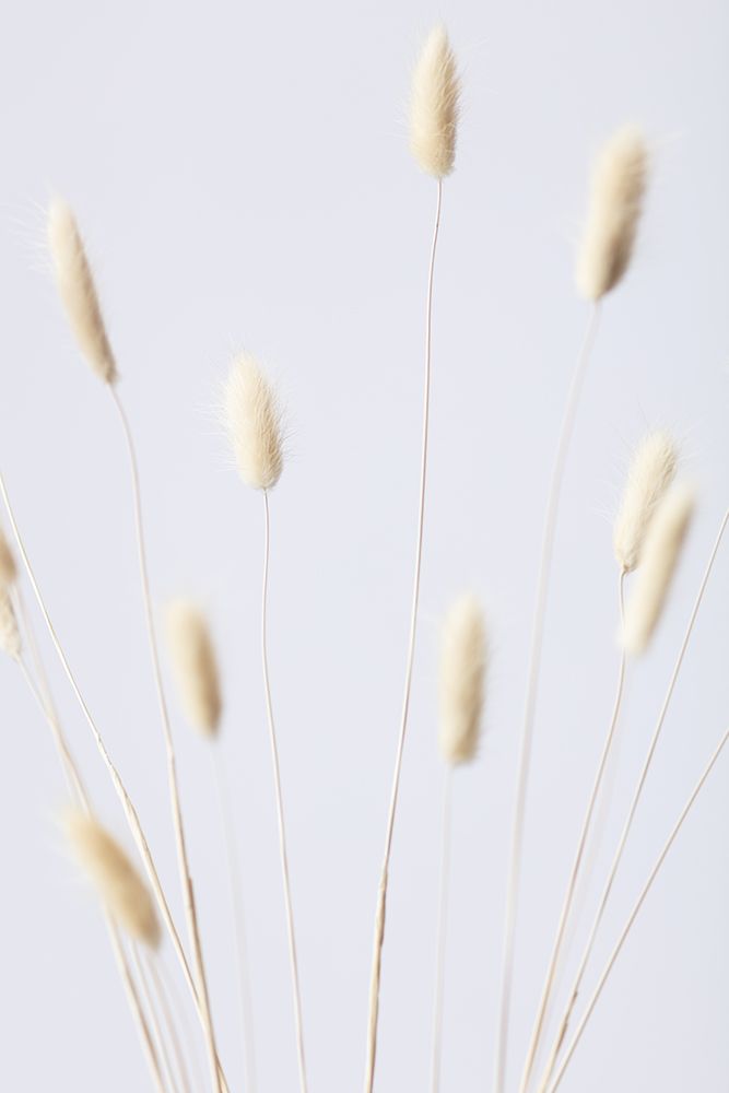 Bunny Grass No 2 art print by 1x Studio III for $57.95 CAD