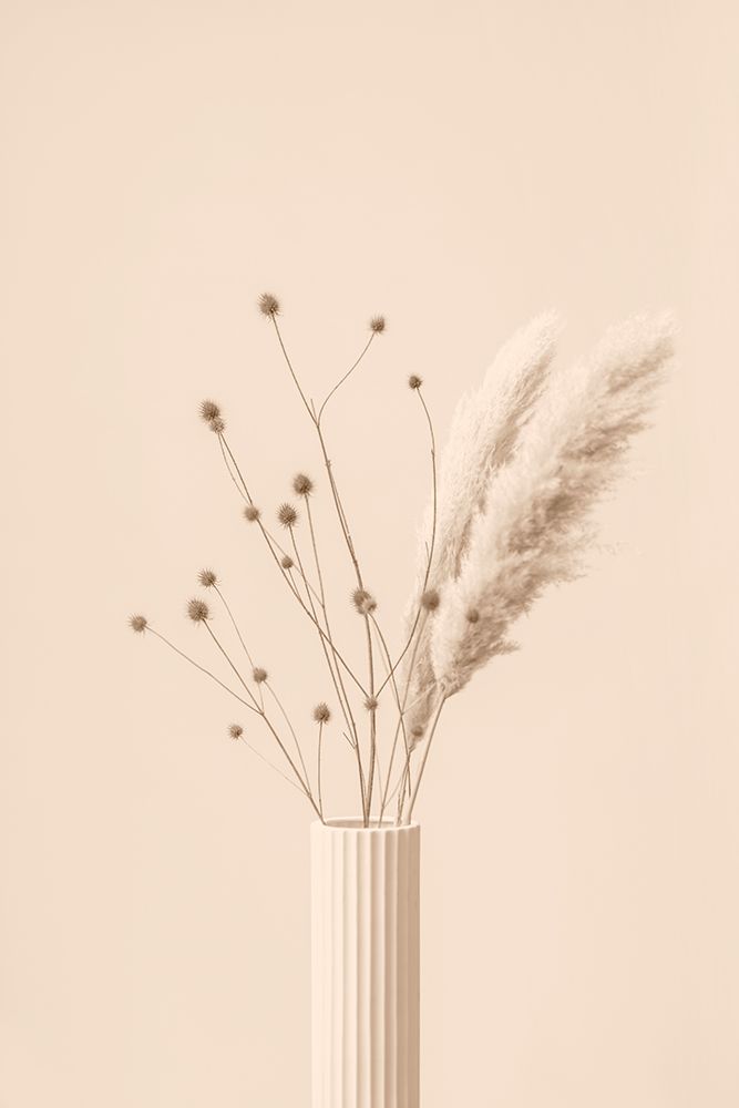 Thistle A Pampas Beige art print by 1x Studio III for $57.95 CAD