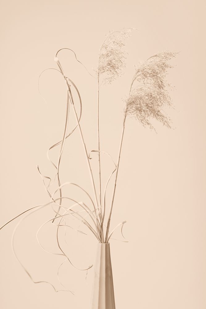 Dried Grass Vase Beige art print by 1x Studio III for $57.95 CAD