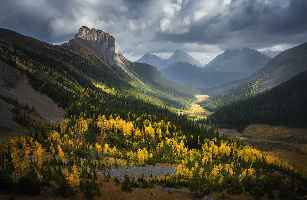 Fall Of Smutwood Valley art print by Yongnan Li for $57.95 CAD