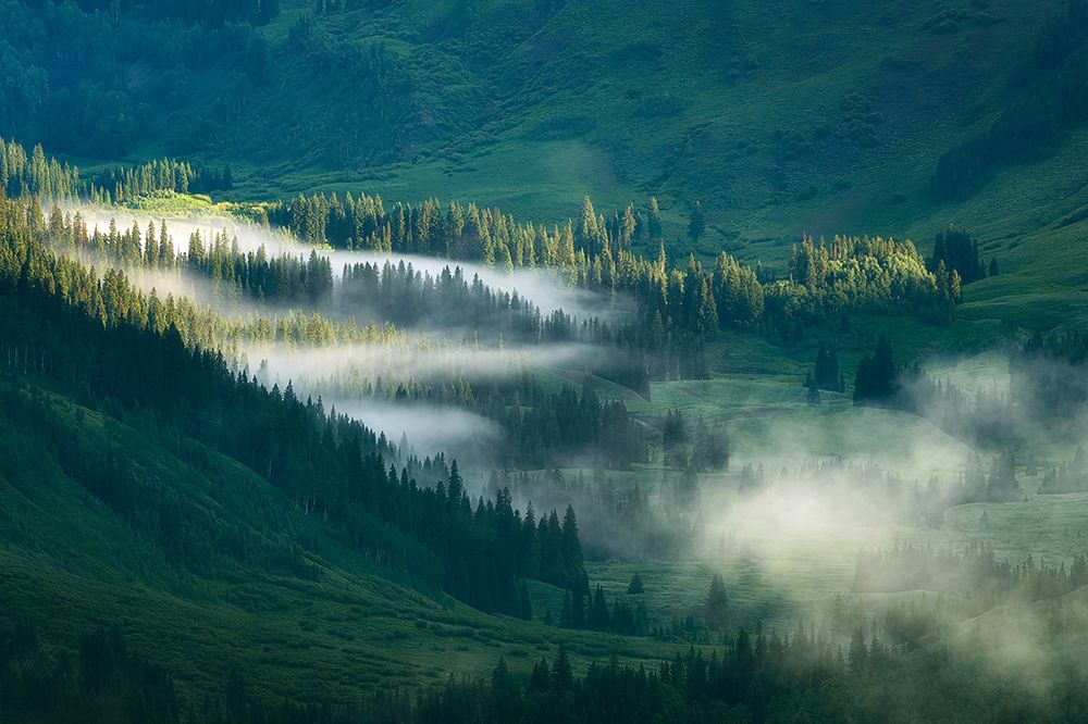 Foggy Valley art print by Mei Xu for $57.95 CAD