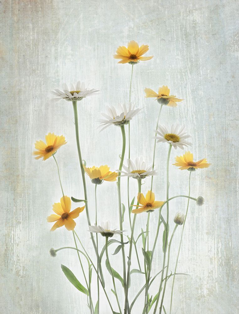 Summer Flowers art print by Binbin L. for $57.95 CAD