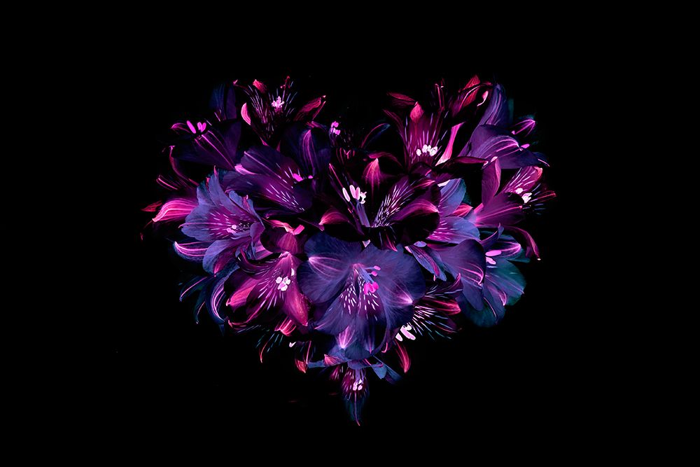 Heartfelt art print by Jacky Parker for $57.95 CAD