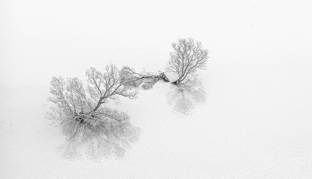 Floodings art print by Jan van der for $57.95 CAD