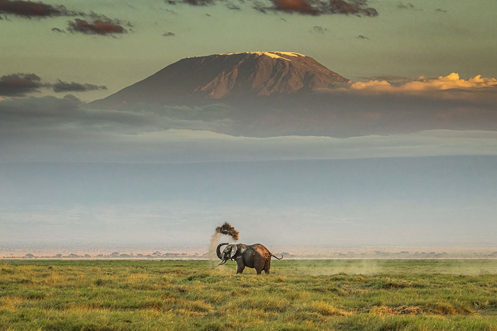 The magic of Amboseli art print by Jeffrey C. Sink for $57.95 CAD