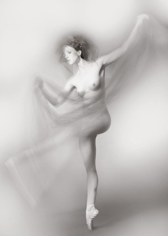 Ballet II art print by miriana for $57.95 CAD