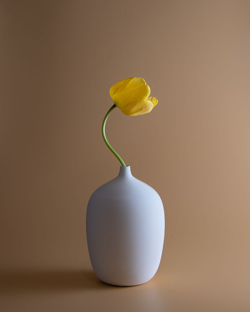 Tulip art print by Qing Li for $57.95 CAD