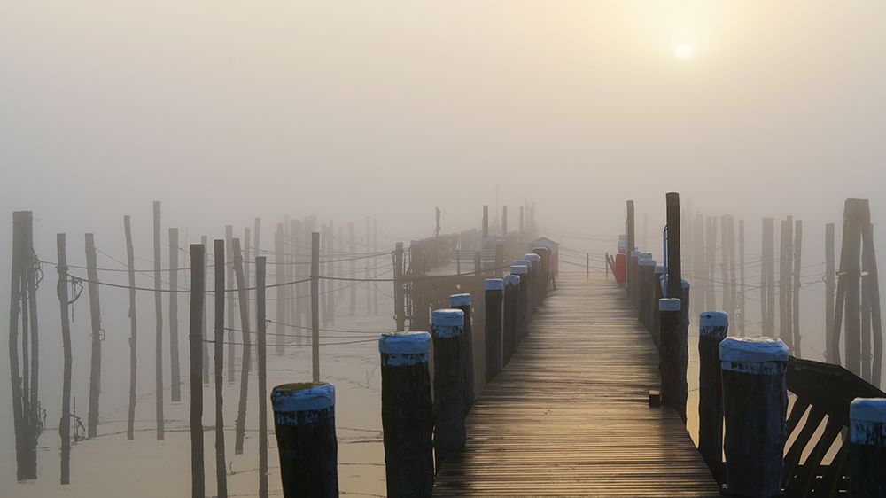 Golden fog at the lonely pier art print by Bodo Balzer for $57.95 CAD