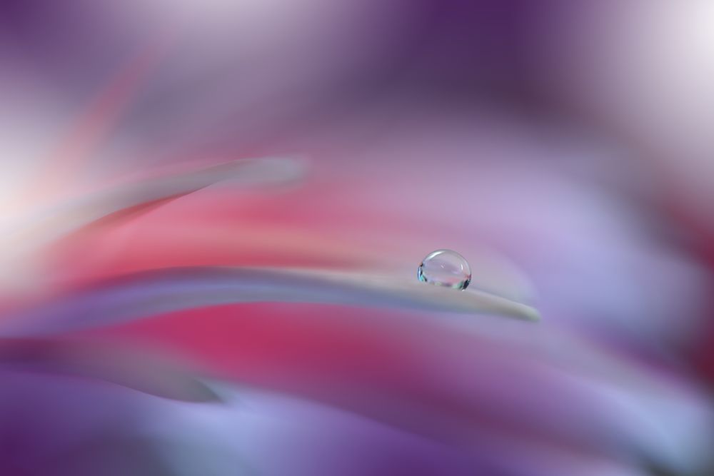 The Essence Of Being..II art print by Juliana Nan for $57.95 CAD