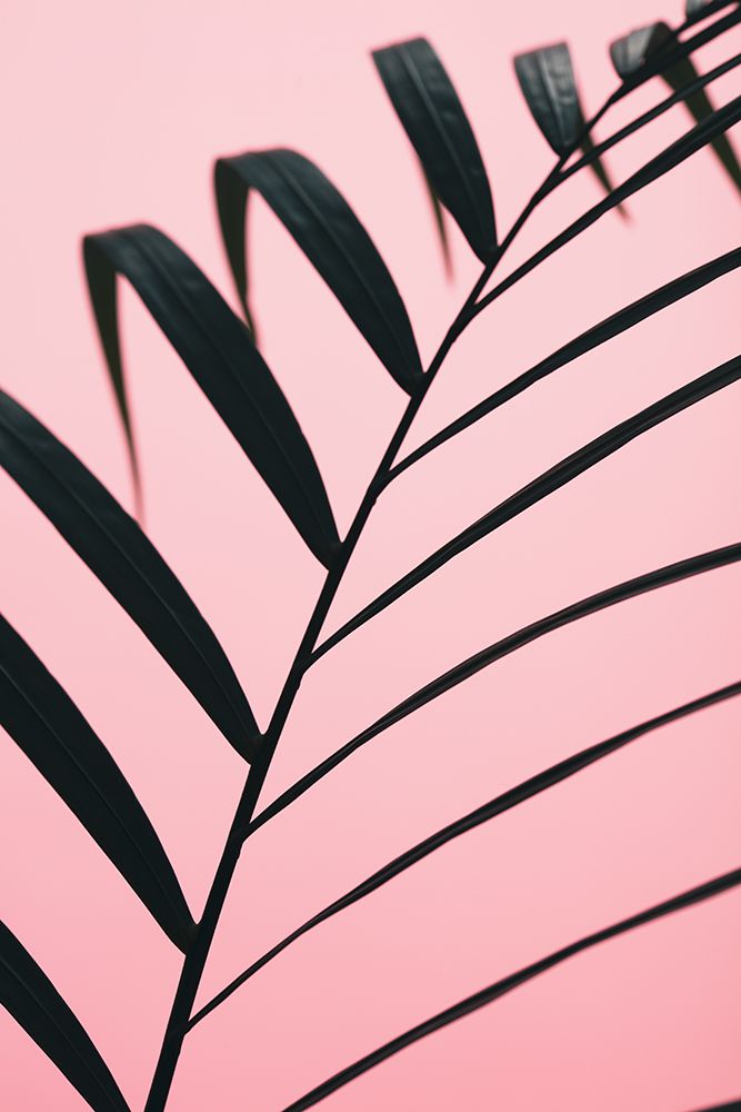 Graphic palm leaf_2 art print by 1x Studio III for $57.95 CAD