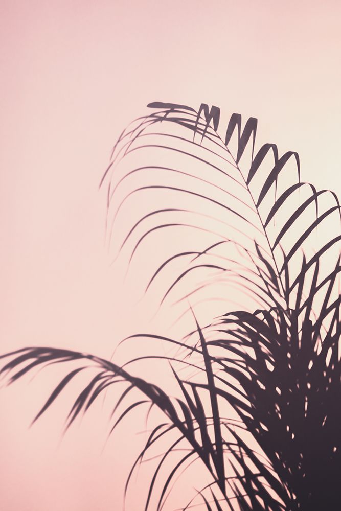 Palm Leaves_1 art print by 1x Studio III for $57.95 CAD