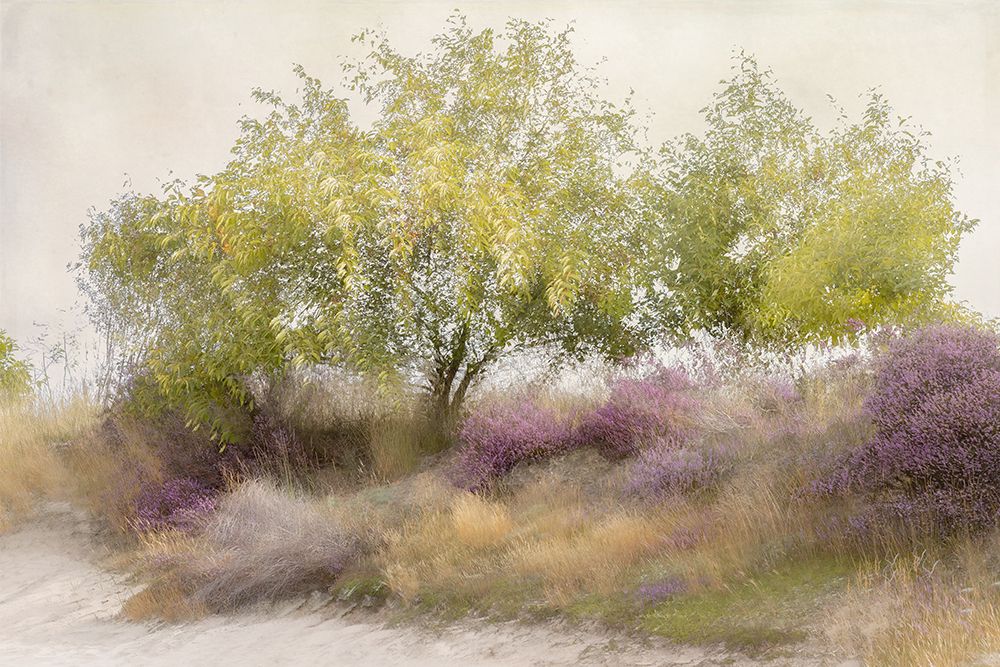 Flowering heather art print by Nel Talen for $57.95 CAD