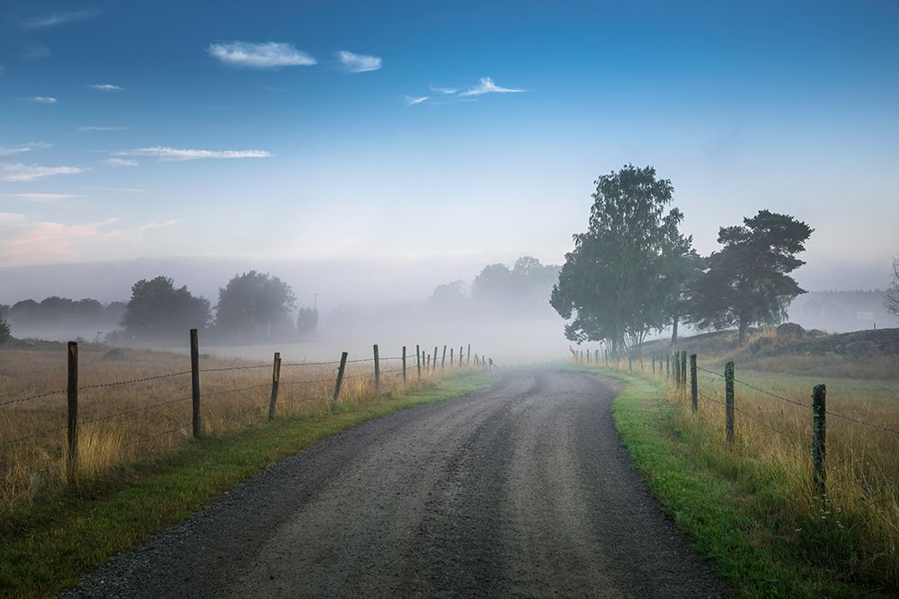 Blue foggy morning art print by Christian Lindsten for $57.95 CAD