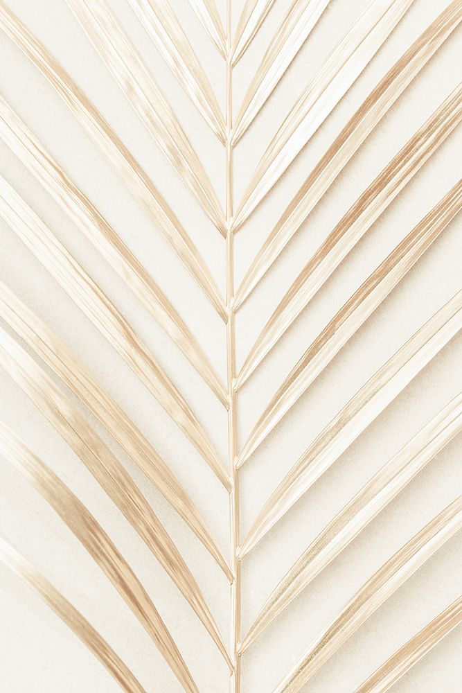 Golden Palm Leaf art print by 1x Studio III for $57.95 CAD