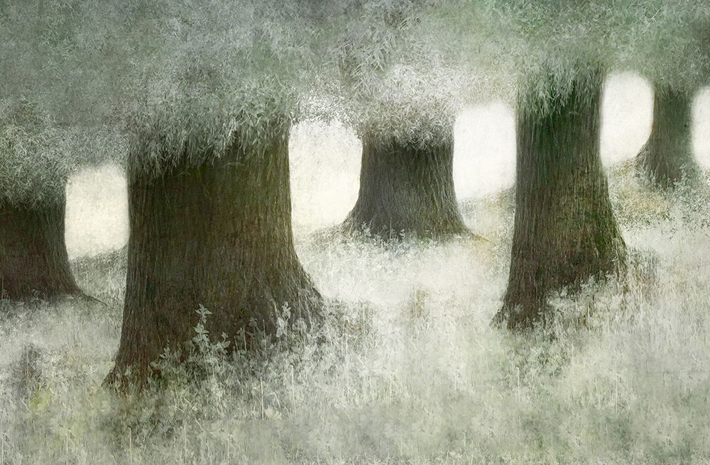 Connected art print by Nel Talen for $57.95 CAD