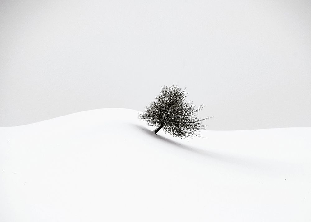 white winter art print by Renate Wasinger for $57.95 CAD