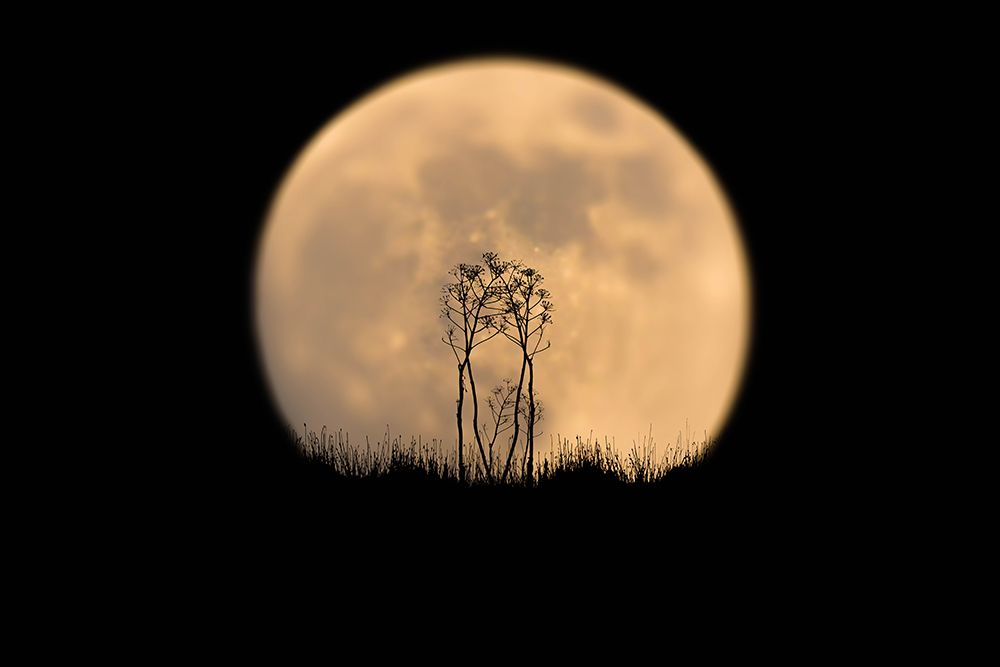 Look at the moon! art print by Eyal Bar Or for $57.95 CAD
