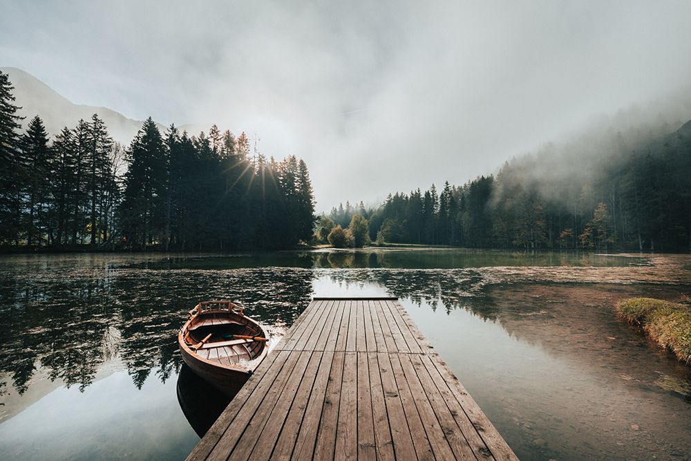 Foggy Morning art print by Jakob Remar for $57.95 CAD