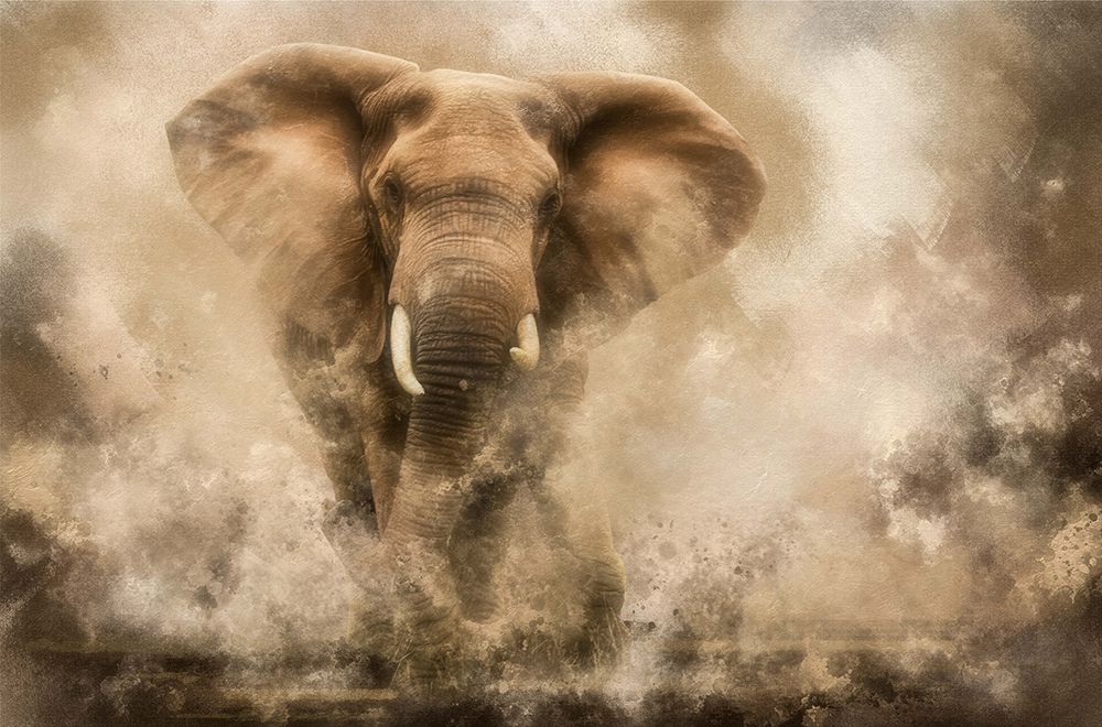 Raging Elephant Bull charging art print by Charlaine Gerber for $57.95 CAD