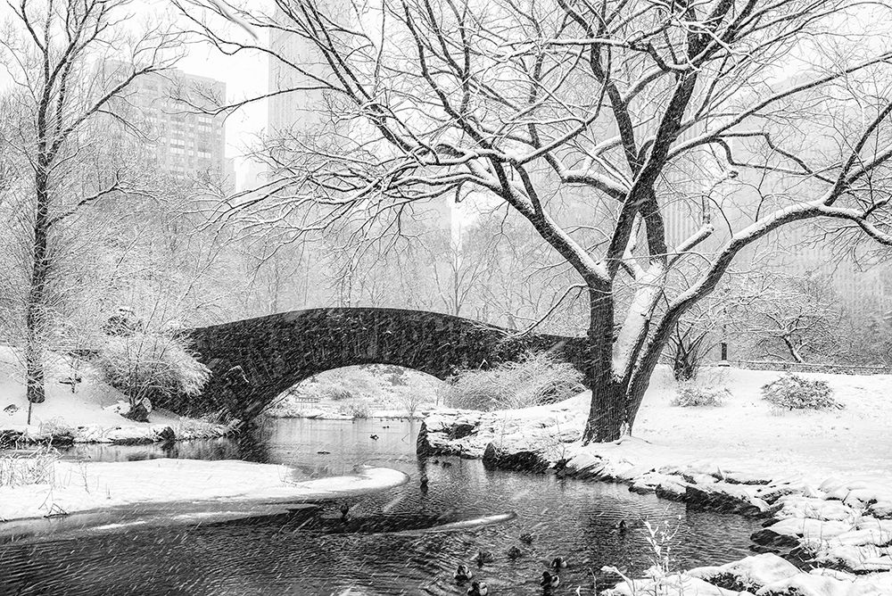 central park snow art print by Alice Sheng for $57.95 CAD