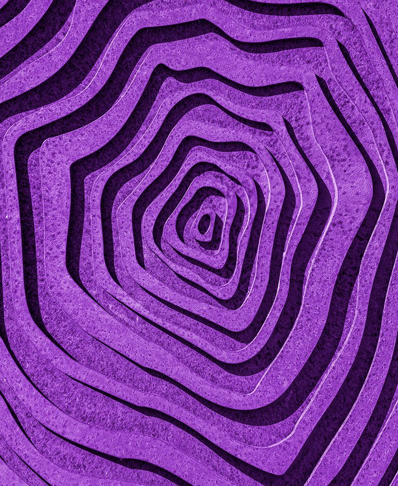 Purple Maze art print by Wayne Pearson for $57.95 CAD