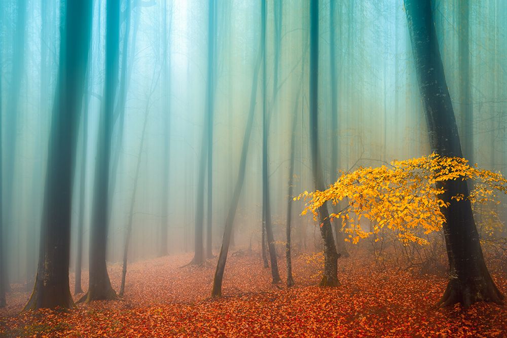 Sense Of Silence art print by Hamed Qane for $57.95 CAD