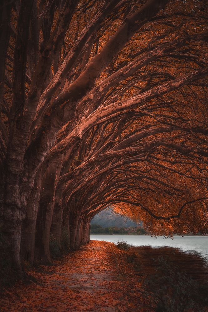 Hello autumn! art print by Marcus Hennen for $57.95 CAD