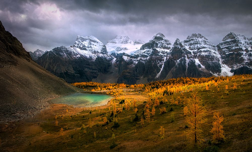Larch Valley art print by Ruiqing P. for $57.95 CAD