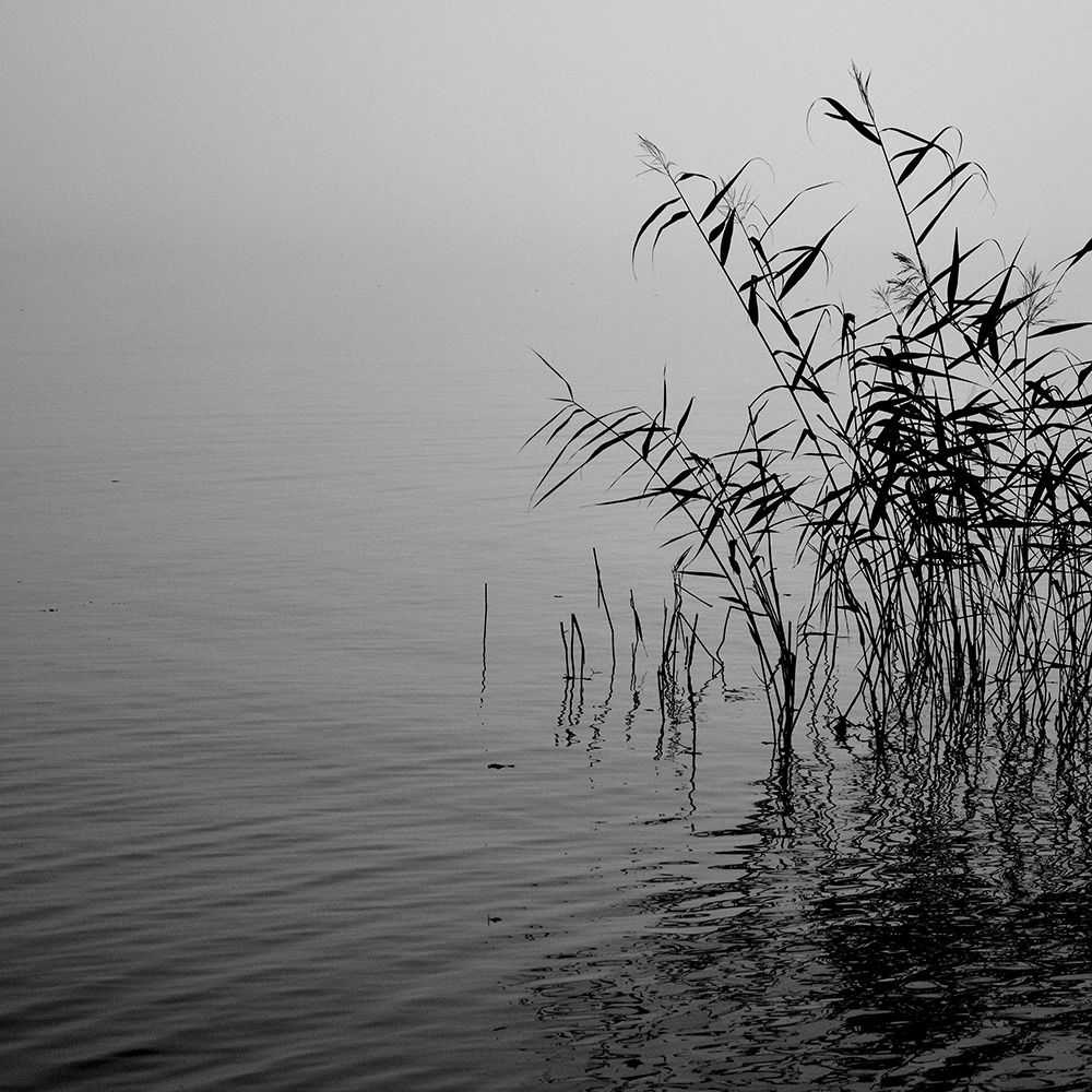 Mist over the lake 2021 art print by Poul-Erik Riis for $57.95 CAD