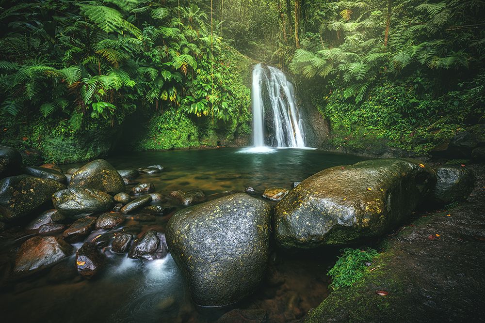Guadeloupe - Cascade Aux A?Crivisses art print by Jean Claude Castor for $57.95 CAD
