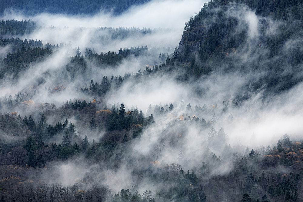 A Valley In The Fog art print by Tomomi Yamada for $57.95 CAD