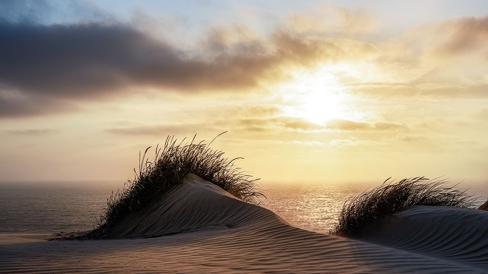 Dune - Denmark art print by Christiane Heggemann for $57.95 CAD