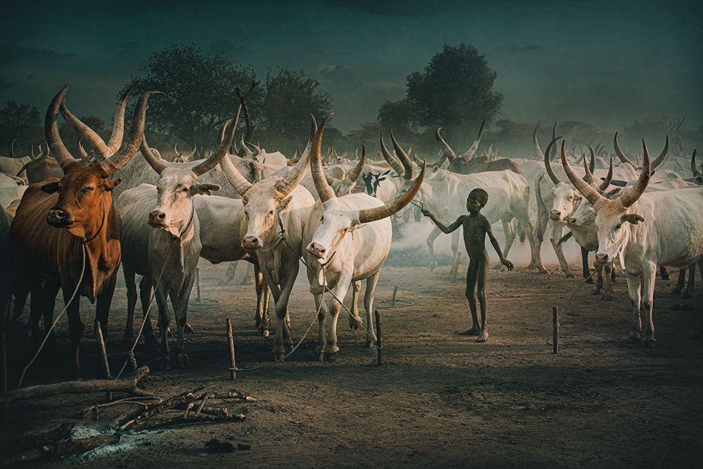 Mundari cattle camp-Child art print by Svetlin Yosifov for $57.95 CAD