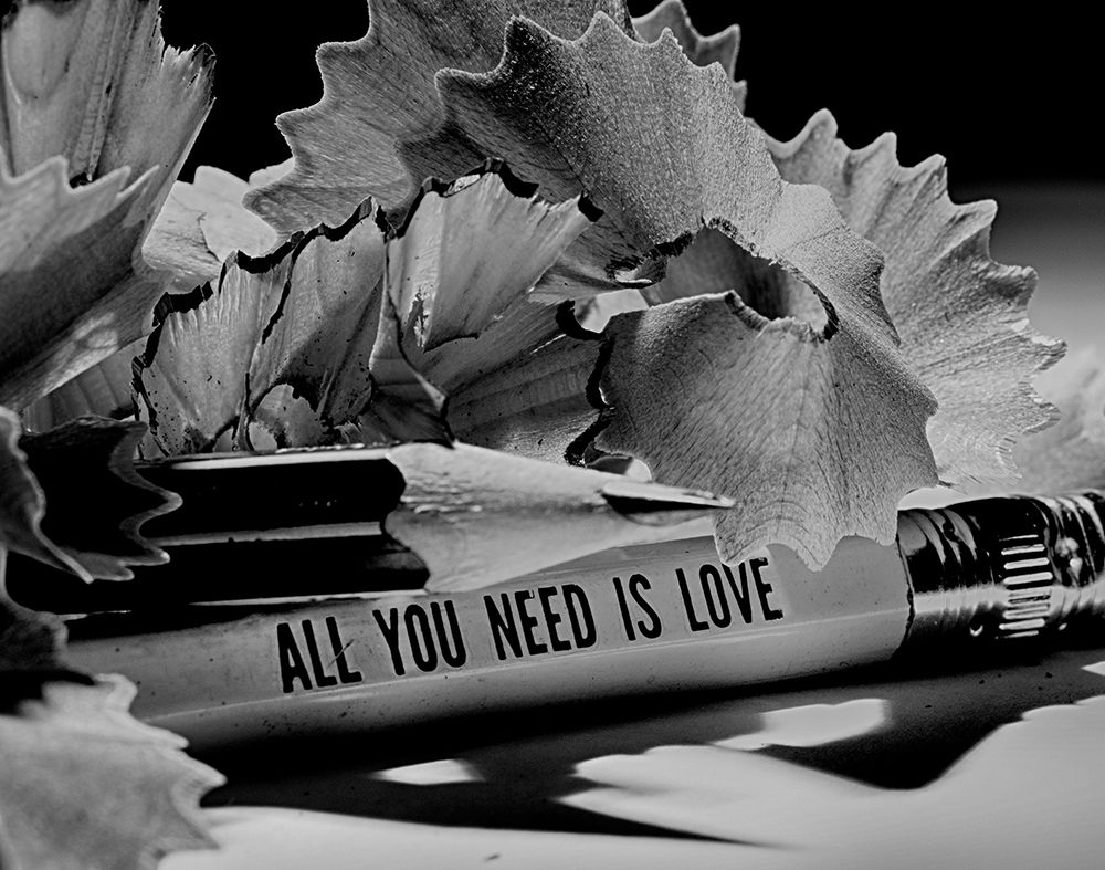 All You Need Is Love art print by Razvan Bulus for $57.95 CAD